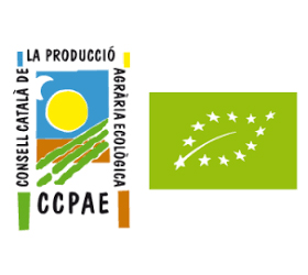 logo ccpae